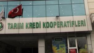 Tarım Kredi Kooperatifi'nde yolsuzluk: Yeni müdür de hayali satışa devam etmiş