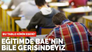 Bu tablo kimin eseri? Eğitimde BAE'nin bile gerisindeyiz