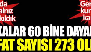 Vakalar 60 bine dayandı. Vefat sayısı 273 oldu.