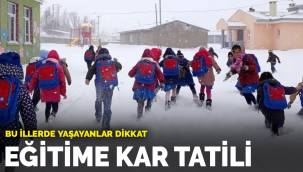 Erzincan, Giresun, Van ve Ordu'da eğitime kar tatili