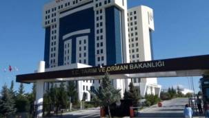 Kamu kuruluşuna 5 bin memur alınacak