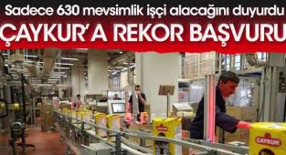 ÇAYKUR'a rekor başvuru! Sadece 630 mevsimlik işçi alacağını duyurdu