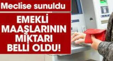 3600 Ek Gösterge Meclise sunuldu. Emekli maaşlarının miktarı belli oldu!
