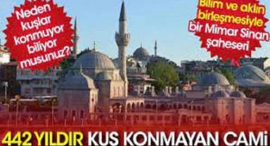 Bilim ve aklın birleşmesiyle bir Mimar Sinan şaheseri: 442 yıldır kuş konmayan cami