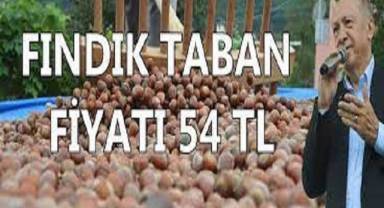 Fındıkta taban fiyat 54 lira oldu