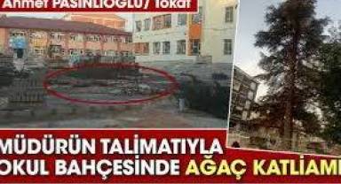 Tokat Turhal’da müdürün talimatıyla okul bahçesinde ağaç katliamı