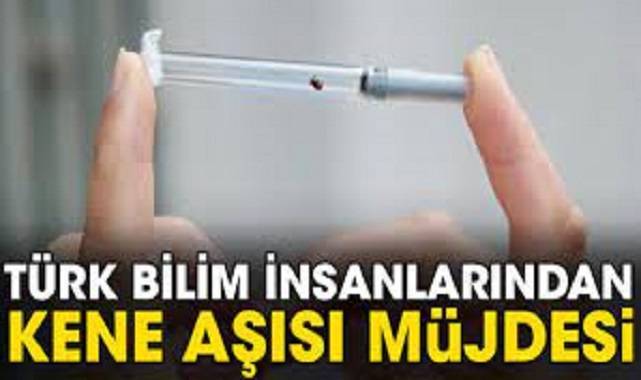 Türk bilim insanlarından kene aşısı müjdesi
