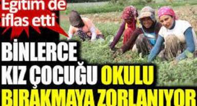 Binlerce kız çocuğu okulu bırakmaya zorlanıyor
