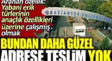 Bundan daha güzel adrese teslim yok. Aranan özellik: Yabani erik türlerinin anaçlık özellikleri üzerine çalışmış olmak