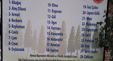 Ağaç kesme hastalığı Milli Eğitime de sirayet etti