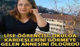 Lise öğrencisi kardeşlerini görmeye gelen annesini tabancayla öldürdü