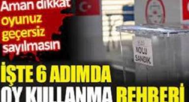 6 adımda oy kullanma rehberi