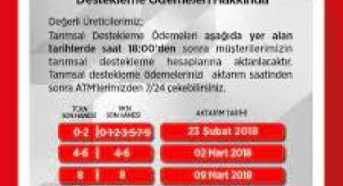 Tarımsal destek ödemesi bugün hesaplara yatıyor