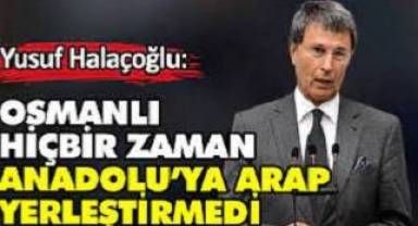 Yusuf Halaçoğlu: Osmanlı hiçbir zaman Anadolu’ya Arap yerleştirmedi