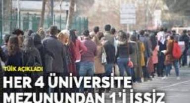 Her 4 üniversite mezunundan 1'i işsiz