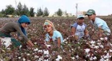 7 çocuktan 1'i eğitimin dışında