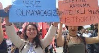 OECD Raporu: Üniversite mezunları iş bulamıyor, gençlerin yüzde 31'i ne okuyor ne çalışıyor