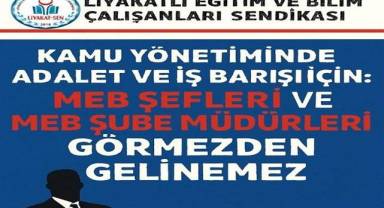 Kamu Yönetiminde Adalet ve İş Barışı İçin: MEB Şefleri ve MEB Şube Müdürleri Görmezden Gelinemez