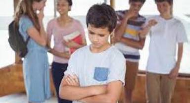 Okullarda Akran Zorbalığı 