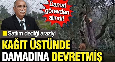 Milas'ta Zeytinlik Krizi İstifa Getirdi: CHP İlçe Başkanı ve Belediye Müdürü Görevden Ayrıldı
