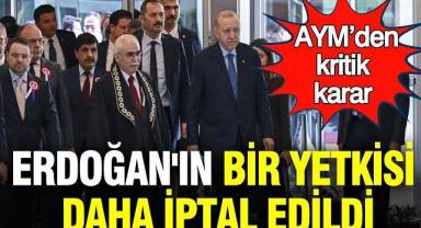 Erdoğan'ın bir yetkisi daha iptal edildi