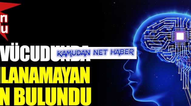 Bilim insanları duyurdu: İnsan vücudunda tanımlanamayan organ bulundu