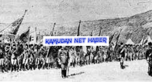 Doğu Ve Güneydoğu Anadolu Bölgesinde Hamidiye Alaylarının Kurulması
