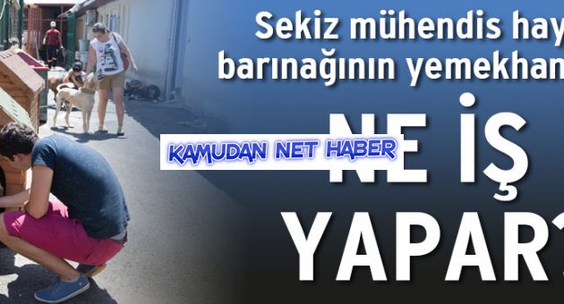 Hayvan barınağındaki 8 mühendis soru işaretleri uyandırdı
