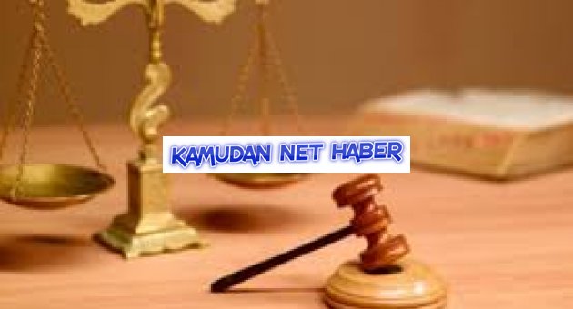 İdari Dava Dilekçe Örneği