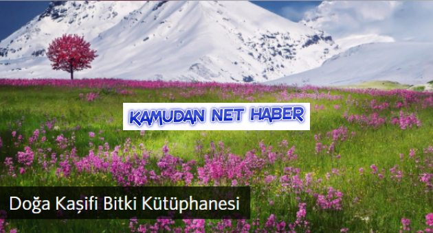 İMECE USULÜ SANAL BİTKİ KÜTÜPHANESİ