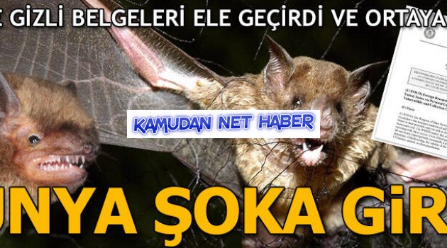 İngiliz Daily Mail gazetesinin ortaya çıkardığı belgeler şok etkisi yarattı