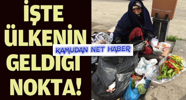 İşte geldiğimiz nokta; çocuğu için çöpten sebze ve meyve topluyor...