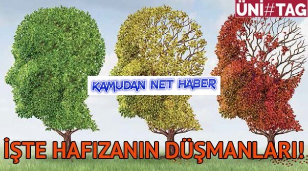 İşte hafızanın düşmanları!