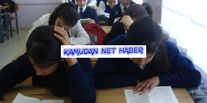 Liselilere, cinsel içerikli kitap dağıtılmasına soruşturma