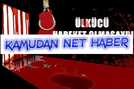 Milli Ordudan Sonra, Kafeslenme Sırası Ülkücü Harekette mi?