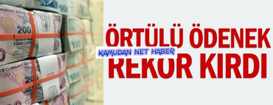 Örtülü ödenek tüm zamanların rekorunu kırdı