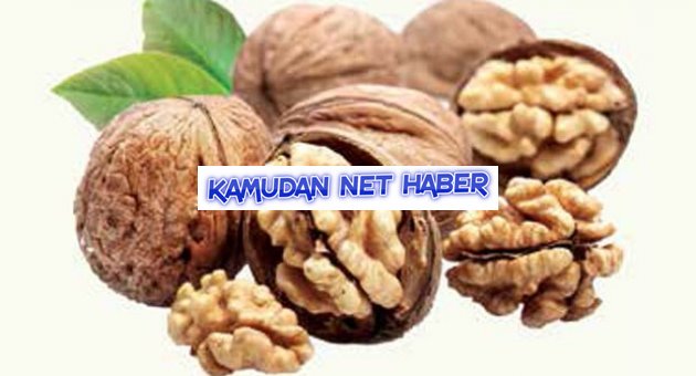 Sınav öncesi beyne doping