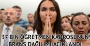 37 bin öğretmen kadrosunun branş dağılımı açıklandı