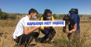 Doğayı Keşfediyorlar