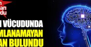 Bilim insanları duyurdu: İnsan vücudunda tanımlanamayan organ bulundu