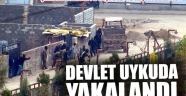 Devlet uykuda yakalandı