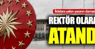 Hayrettin Karaman'ın damadı rektör olarak atandı