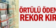 Örtülü ödenek tüm zamanların rekorunu kırdı