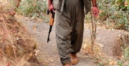 PKK VARTO DA ASKERLİK ŞUBESİ AÇTI! DEVLET NERDESİN?