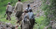 PKK'lı Mustafa Karasu: Silah bırakma gündemimizde yok