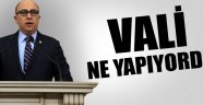 Vali Ne Yapıyordu?