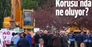 Validebağ Korusu'nda ne oluyor?