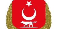 Yeni Devlet armasına Gerek yok 1927 de Belirlenen Armamızı Kullanalım