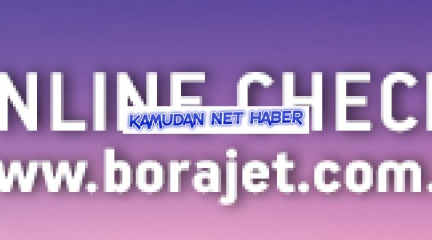 THY Ordu-Giresun Havalimanı'na inemedi!