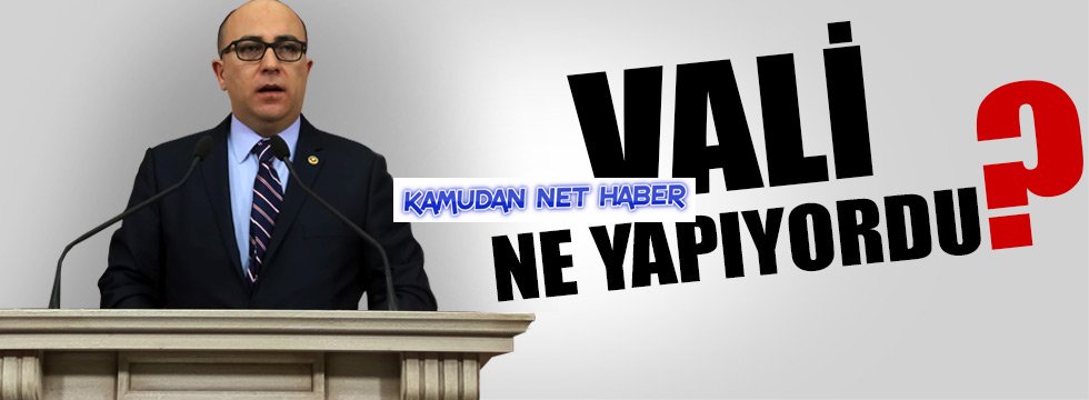 Vali Ne Yapıyordu?